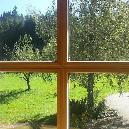 Landhaus Kennerknecht Kur Und Ferien 3* 上施陶芬