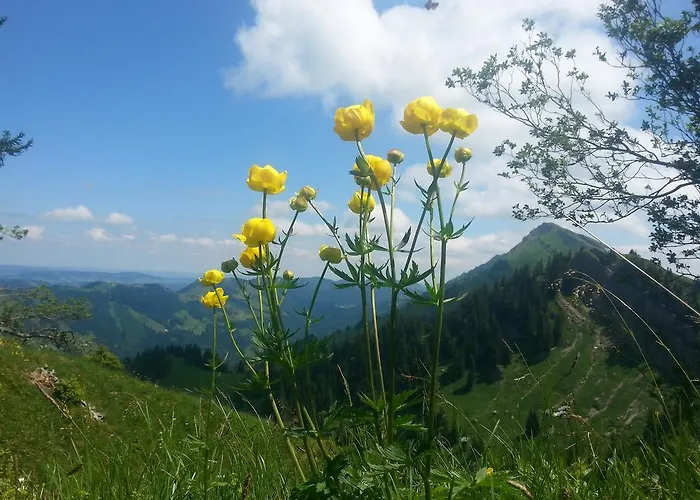 Landhaus Kennerknecht Kur Und Ferien 3*