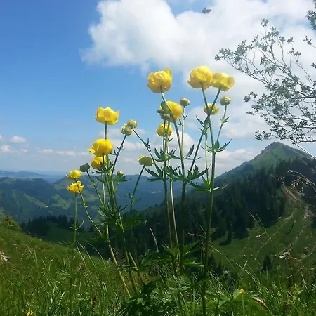 Landhaus Kennerknecht Kur Und Ferien 3*